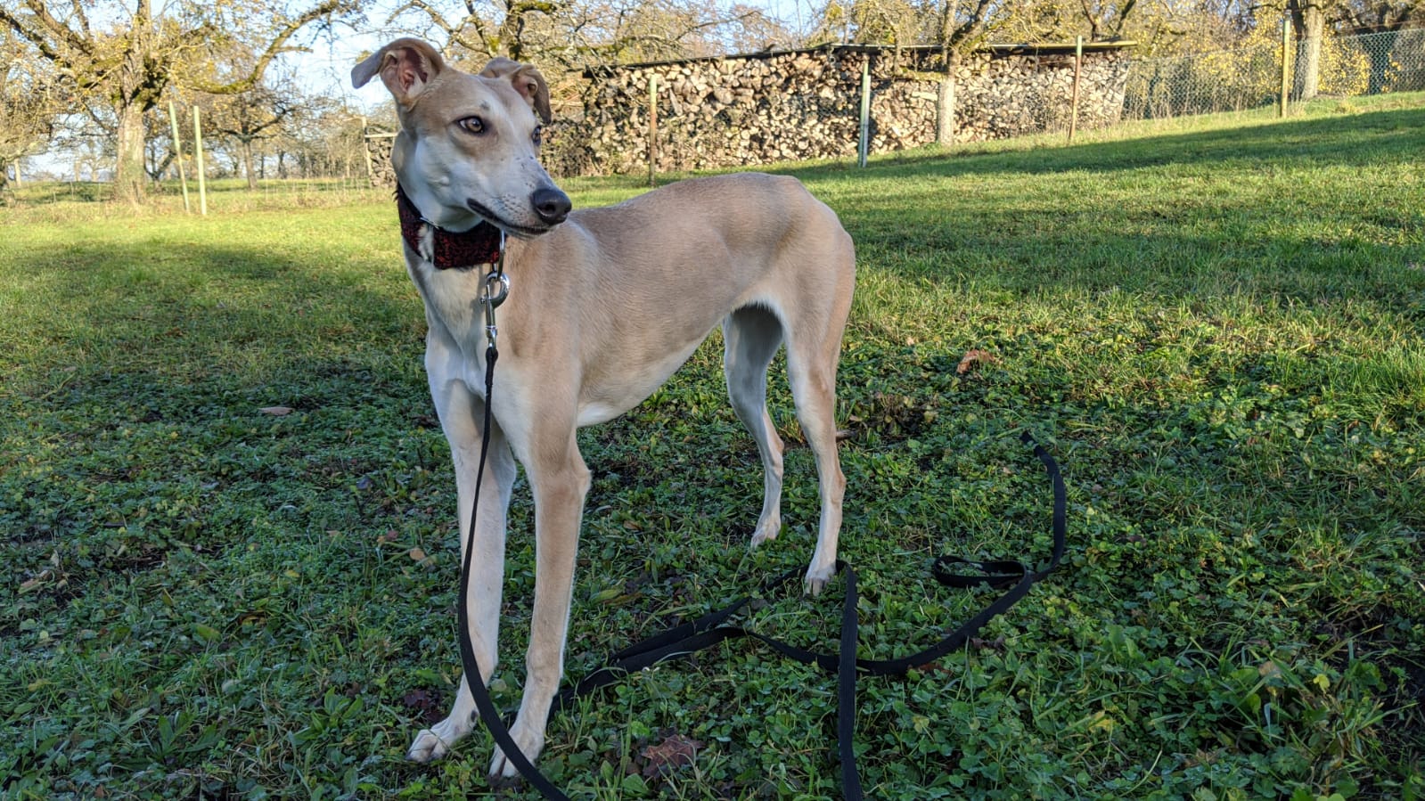 Das Warten hat ein Ende :) 